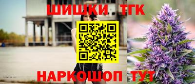 индика Партизанск