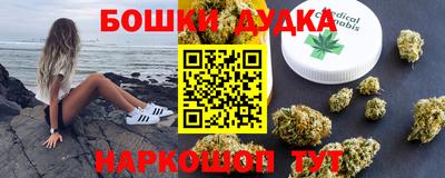 индика Партизанск