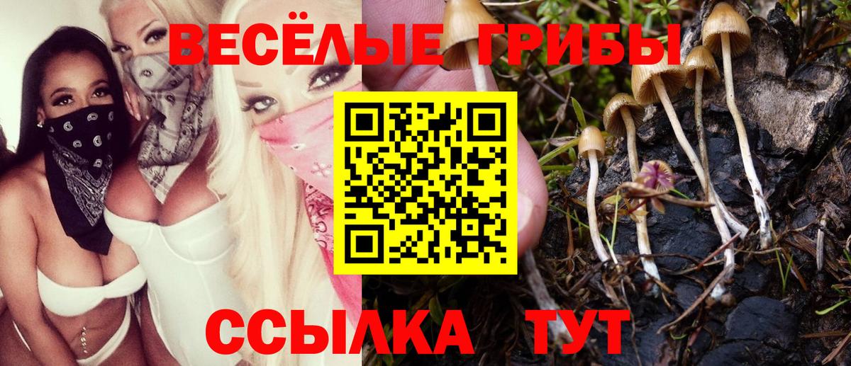 Солнечногорск  Галлюциногенные грибы мицелий  Галлюциногенные грибы Magic Shrooms  купить наркоту  Вход с VPN 